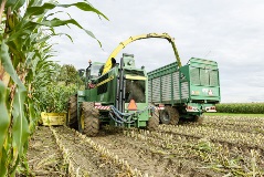 0646_Agriculture