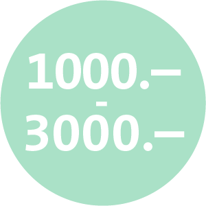 1'000.- - 3'000.-