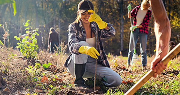 I membri di un'associazione partecipano a un'attività di riforestazione, lavorando insieme per piantare giovani alberi in una foresta