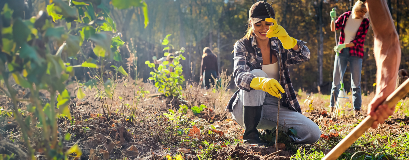 I membri di un'associazione partecipano a un'attività di riforestazione, lavorando insieme per piantare giovani alberi in una foresta.