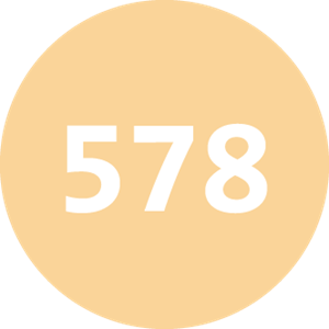 578 icone