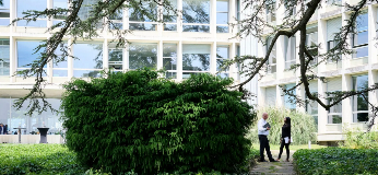 Stratégie de durabilité